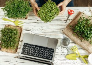 cursos de jardinería online