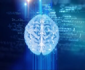 neurociencia y estudio